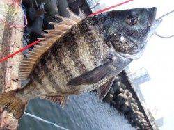 いいお天気です♪泉大津RT　６日　朝