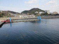 今週もイワシ回ってます。【23日】田ノ浦RT