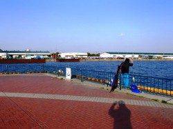 いい感じに濁っているのですが…泉大津RT。夕方