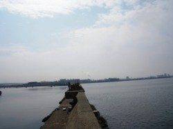 厳しい中貴重な!!　泉大津RT　24日ひる