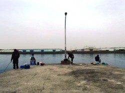 大津川尻で♪泉大津RT！