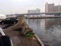 お天気もハネも回復？28日夕方泉大津ＲＴ