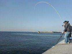 【早朝からハネ連発！】西宮ケーソンＲＴ