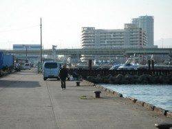 泉大津リアルタイム（30日・朝）