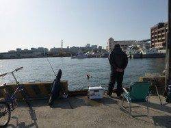 北公園ＲＴ、ハネセイゴ激熱の７匹！