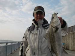 【今日も爆釣!?】南芦屋浜リアルタイム