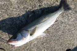 快晴です★食コンりあるたいむ