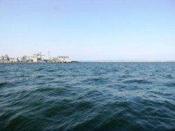 泉佐野食コンリアルタイム