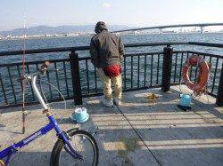 空メバルとチヌ情報。ＲＴ