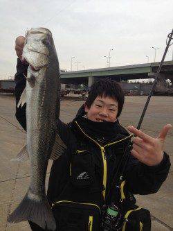 岸和田シーバスゲーム、鉄板系のルアーでゲット！