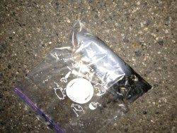 すさみでエギング、墨族でGET☆