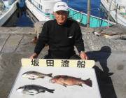 衣奈の磯 フカセでチヌ・グレ・カンダイなど…