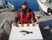 黒島の磯でフカセ釣り〜チヌ44cm〜