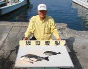 ☆出ました年無し☆グレも良いサイズでした！…