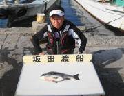 黒島の磯 フカセでチヌ47〜48cm