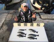 鷹島のカンドリ フカセでグレ楽しめる