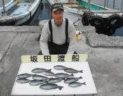黒島の磯オキアミフカセ釣果、カンダイも揚が…