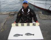 グレ、納得サイズ2本　釣り場はイシキリ