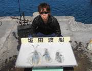 黒島の磯 エギングでアオリイカ〜0.7kg…