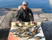 黒島の磯 アイゴの数釣り楽しめる