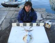 黒島の筏 ヤエンでアオリイカ1.74kg！…