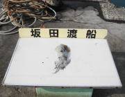 黒島の磯 エギングでヤリイカ＆アオリイカ