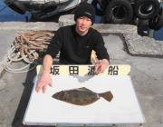 黒島の筏 のませ釣りでヒラメ51cm
