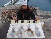 黒島の磯 エギング＆ヤエンでアオリイカ