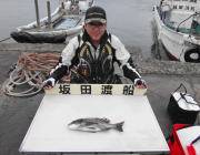 黒島の磯でオキアミフカセ、良型チヌが多く揚…