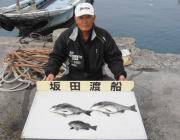 鷹島のカンドリでチヌ・グレ・サヨリの釣果