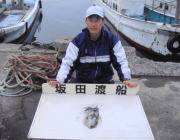 黒島の磯でエギング、ヒットカラーはピンク系…