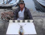 黒島の磯でヤエン、キロアップのアオリイカ♪…