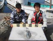 黒島の磯でエギング、ヒットカラーはブルー！…