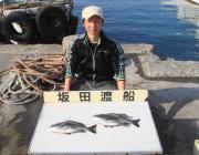 鷹島のカンドリ、フカセでチヌの釣果