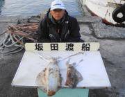 黒島の筏、超大物アオリ２．８ｋｇ出ました！…