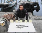 黒島の磯 フカセでチヌ＆グレの釣果