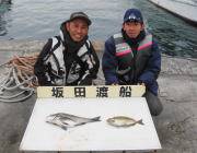 黒島の磯 チヌ＆アイゴ釣果