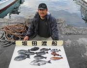 鷹島のカンドリ、チヌ・グレ良く釣れています