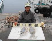 黒島の筏 ヤエンでアオリイカ2kgオーバー
