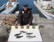 鷹島のカンドリ フカセでグレ＆チヌの釣果