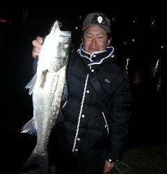 大阪南港 ソフトルアーにシーバスHIT！