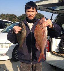 串本の磯 フカセでグレ・マダイの釣果