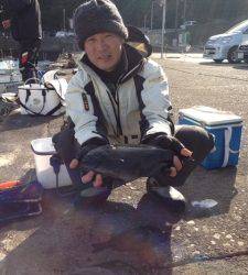 串本の磯 フカセでグレ30cm後半サイズ