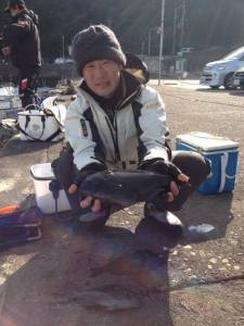 串本の磯 フカセでグレ30cm後半サイズ