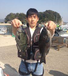 串本の磯 30cm中盤グレがフカセであがってます