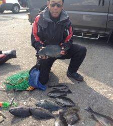 グレ、カワハギと大漁です(^^)/~~双子の親でフカセ釣り