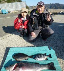 神谷沖一文字 のませでヒラスズキ73cmカゴ釣りでグレなど