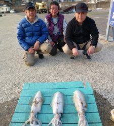 工場裏の波止 ヤエンでアオリイカ3バイ