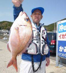 沖一文字外向き・内向き共にカゴ釣りでマダイの釣果あり！！