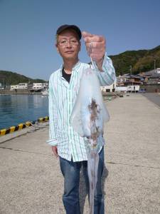 工場裏でヤエン釣り、キロアップ ↑ のアオリイカ！！